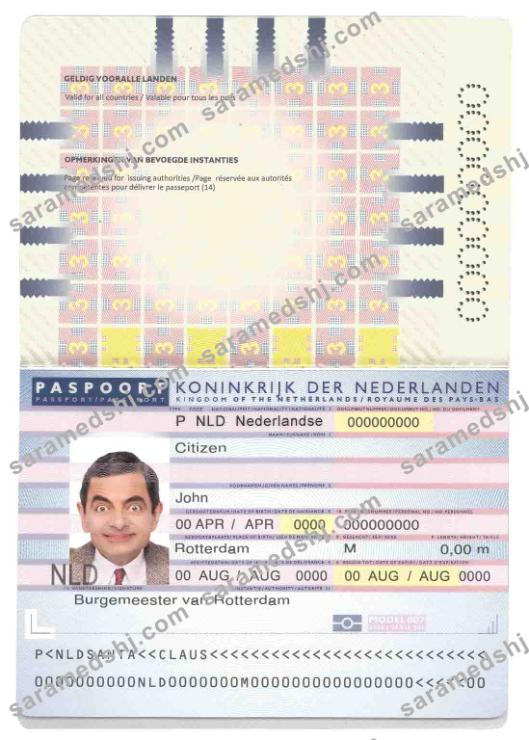 Netherlands (Holland) Passport (2006-2016)